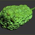 Fresh Green Bitter Melon With Textured Surface On Black Reflective Background 3d model