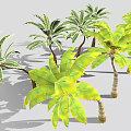 Green and Yellow Leafy Palm and Banana Trees with Light Colored Trunks in Gray Background