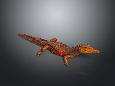 3D Rendered Orange Reptile Crocodile With Scaly Skin Lying On Gray Background 3d model