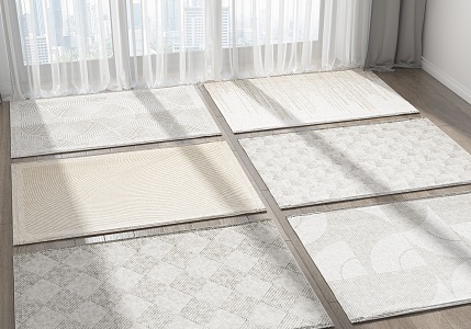 Modern Square Carpet Combo 3d model