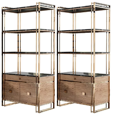 Elegant Modern Storage Shelf Unit With Brass Frame Wooden Cabinet And Glass Shelves 3d model