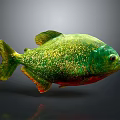 Green And Gold Glittery Fish With Red Underbelly Isolated On Gray Background