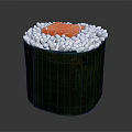 Delicious Sushi Roll Wrapped in Green Nori with White Rice and Orange Salmon Topping