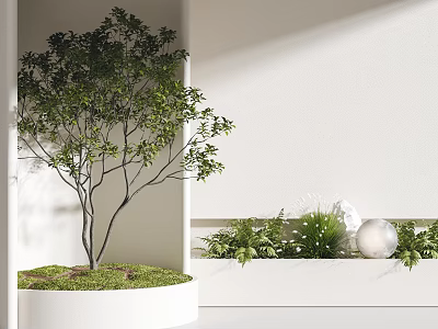 Modern Bonsai Plant Display In White Round Pot With Green Foliage And Decorative Elements 3d model