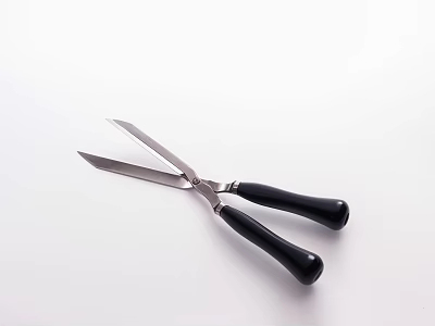 Handheld Agricultural Scissors With Black Handles And Silver Blades For Pruning 3d model