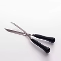 Scissors 3d model