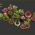 Variety of Succulent Plants in Colorful Shaped Pots for Indoor Garden