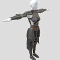 Black And Gold Weapon Armor With Intricate Decorations On Humanoid Model Arms Outstretched