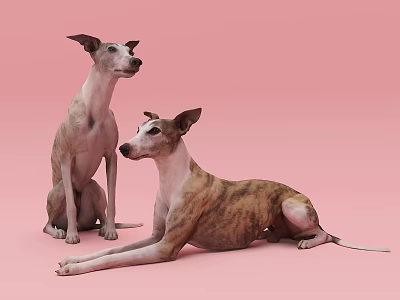 Two Reptiles Sitting And Lying On Pink Background In Relaxed Natural Poses 3d model