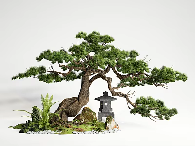 Indoor Landscape With Bonsai Pine Tree Stone Lantern Moss Small Stones And Ferns 3d model