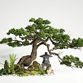 Indoor Landscape With Bonsai Pine Tree Stone Lantern Moss Small Stones And Ferns