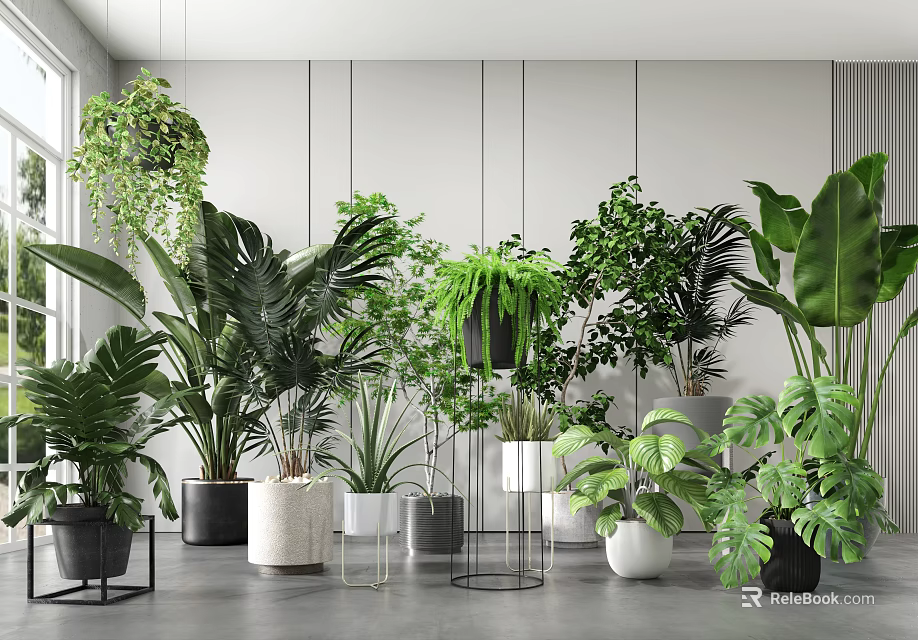 Indoor Potted Plants With Various Green Foliage In Modern Planters For Home Decor 3d model 