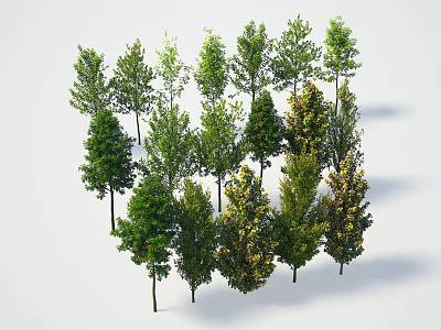 Collection of Various Tree Species with Different Heights and Diverse Leaf Colors on White Background 3d model