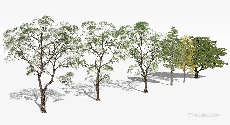 Plant Combination Featuring Various Tree Types Different Leaf Shapes And Colors 3d model