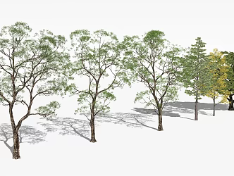 plant combination 3d model