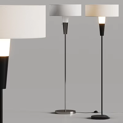 Modern Floor Lamp With White Shade And Black Slim Metal Stand Design 3d model