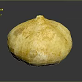 Fresh Yellow Round Pumpkin With Textured Skin On Dark Background