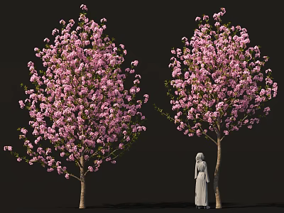 Tall Flowering Trees With Pink Blossoms And Person In White Robe 3d model