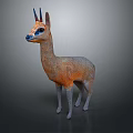 Orange and White Vicuna Animal With Blue Tipped Ears Black Nose Standing on Gray Background