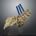 Animal Spine Skeleton With Blue Orthopedic Support Rods And Detailed Bone Structure