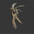 Aquatic Brown Crab with White Claws Brown Shell and Long Legs 3d model