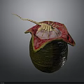 Green Textured Body With Red Edged Pink Organ And Yellow Hair Like Structure