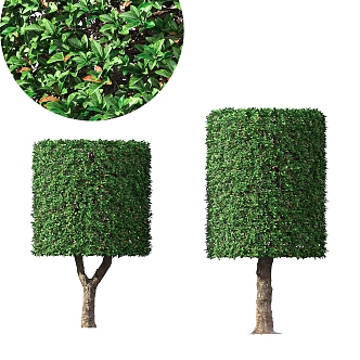 cylindrical shrub landscape tree landscaping 3d model