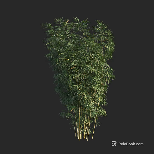 Tall Green Bamboo Plants With Slender Stems And Lush Dense Foliage 3d model 