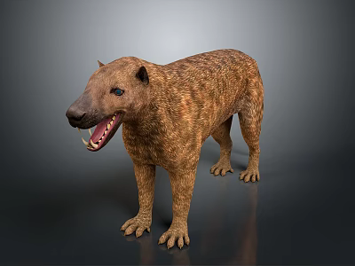 Realistic Honey Badger 3D Model With Open Mouth And Striped Fur 3d model
