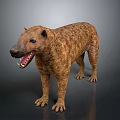 Realistic Honey Badger 3D Model With Open Mouth And Striped Fur
