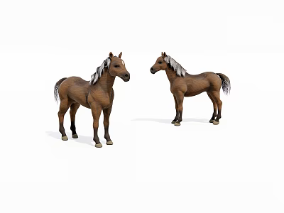 Two Brown Horses Standing With Mane And Tail On White Background 3d model