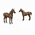 Two Brown Horses Standing With Mane And Tail On White Background