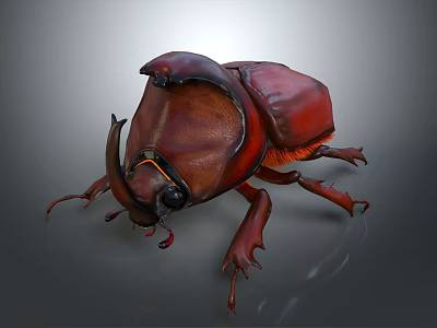 Detailed 3D Rendered Rhinoceros Beetle In Reddish Brown With Large Horn On Gray Background 3d model