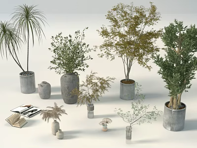 Floral Art Display Featuring Various Potted Greenery Concrete Pots And Decorative Items 3d model