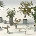 Floral Art Display Featuring Various Potted Greenery Concrete Pots And Decorative Items