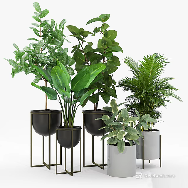 Various Indoor Green Potted Plants With Black And White Pots On Metal Stands 3d model 