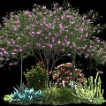 Vibrant Shrub With Purple Flowers Accompanied By Green Herbs Pink Blooms And Other Plants