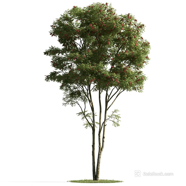 Lush Green Leafy Arbor with Red Berries and Multiple Trunks 3d model