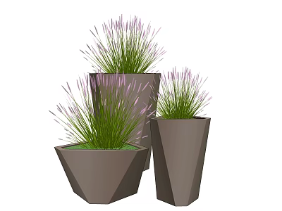 Modern Geometric Potted Plants with Purple Flower Spikes and Green Foliage in Stylish Gray Planters 3d model