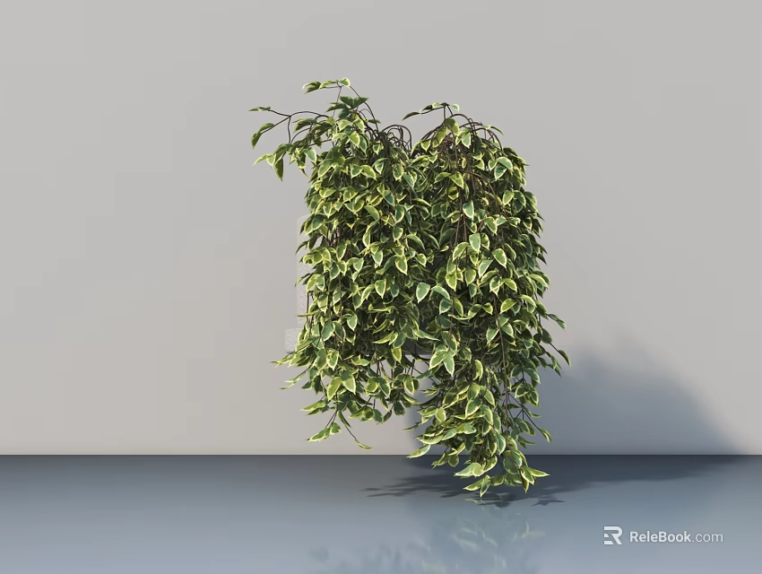 Potted Bonsai Plant With Lush Hanging Green Leaves In Indoor Setting 3d model 