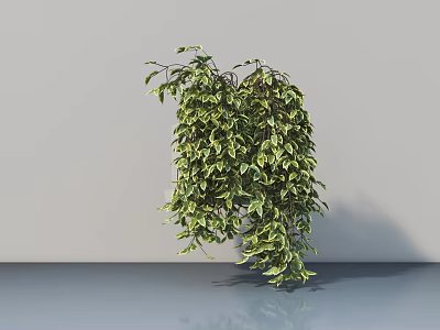 Potted Bonsai Plant With Lush Hanging Green Leaves In Indoor Setting 3d model
