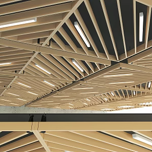 Log ceiling 3d model