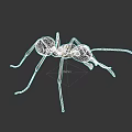 Realistic 3D Rendering of Brown Ant With Long Legs and Antennae