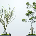Tree Support Tree Support Community Tree Realistic Trees Spring and Summer Trees Transparent Trees Lightweight Modelling Trees Summer Trees 3d model