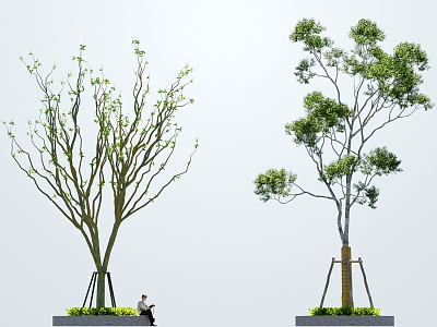 Tree Support Tree Support Community Tree Realistic Trees Spring and Summer Trees Transparent Trees Lightweight Modelling Trees Summer Trees 3d model