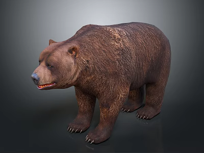 Realistic Brown Bear With Thick Fur Standing In Natural Posture 3d model