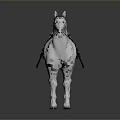 White Horse With Black Harness And Reins Standing On Smooth Surface With Dark Background Reflection