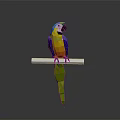 Vibrant Colorful Parrot with Bright Feathers Perched on White Bar Against Gray Background