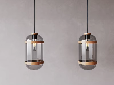 Two Modern Pendant Lights with Transparent Glass Shades and Golden Rings 3d model
