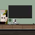 Wooden TV Stand With Flat Screen TV Painting Plant Books Vase And Light Green Wall